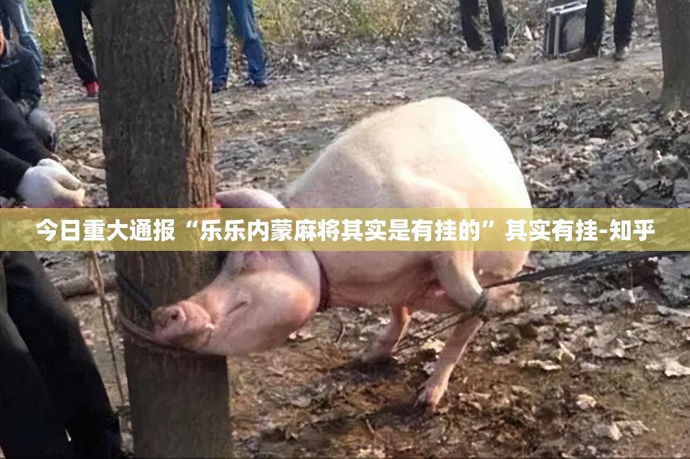 今日重大通报“乐乐内蒙麻将其实是有挂的”其实有挂-知乎