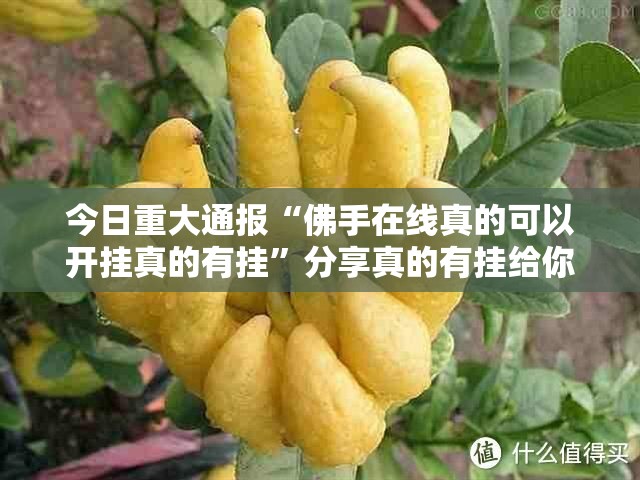 分享实测宁波世纪茶馆开挂软件确实真的有挂