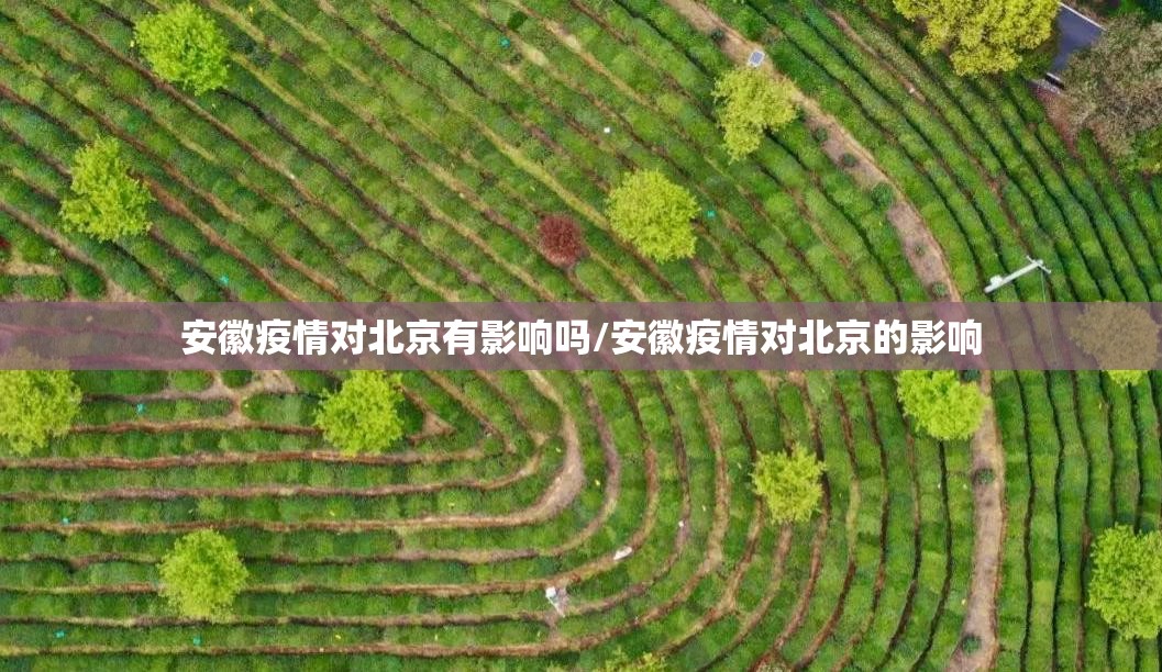 重磅.来袭娱网皮球确实有挂吗原来可以开挂