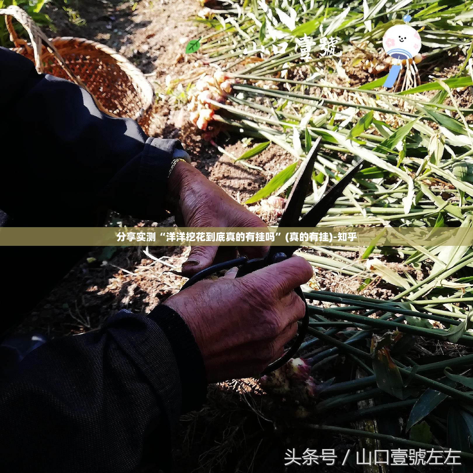 推荐一款一道搓百搭怎么开挂可以开挂吗其实有挂-知乎