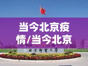 重大通报新蜜瓜大厅老是输真的有挂!其实真的确实有挂