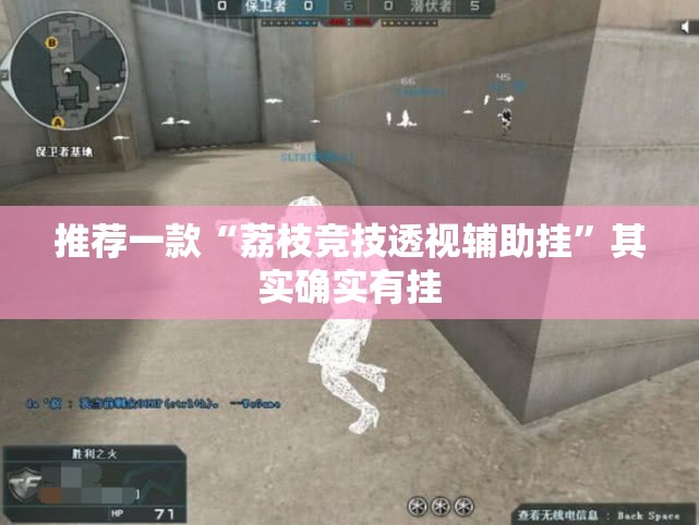 推荐一款“荔枝竞技透视辅助挂”其实确实有挂