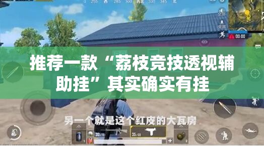 推荐一款“荔枝竞技透视辅助挂”其实确实有挂
