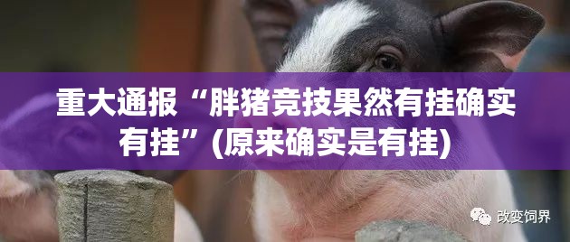 重大通报越乡游十三张究竟是不是有挂吗果然有挂