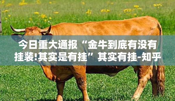 今日重大通报“金牛到底有没有挂装!其实是有挂”其实有挂-知乎
