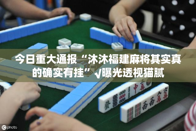 今日重大通报“沐沐福建麻将其实真的确实有挂”√曝光透视猫腻