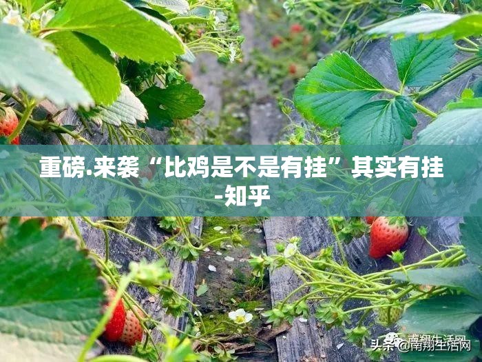 分享实测越乡游斗牛到底有挂吗√曝光透视猫腻