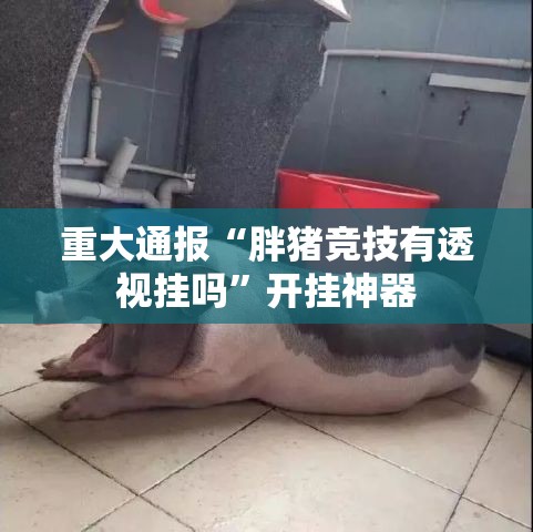 分享实测榆林打锅子能不能开挂原来可以开挂