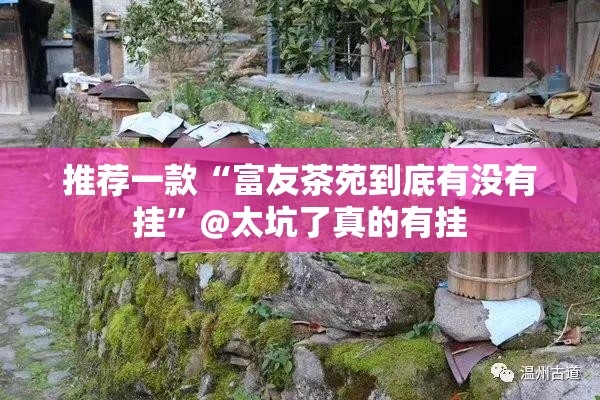 推荐一款“富友茶苑到底有没有挂”@太坑了真的有挂