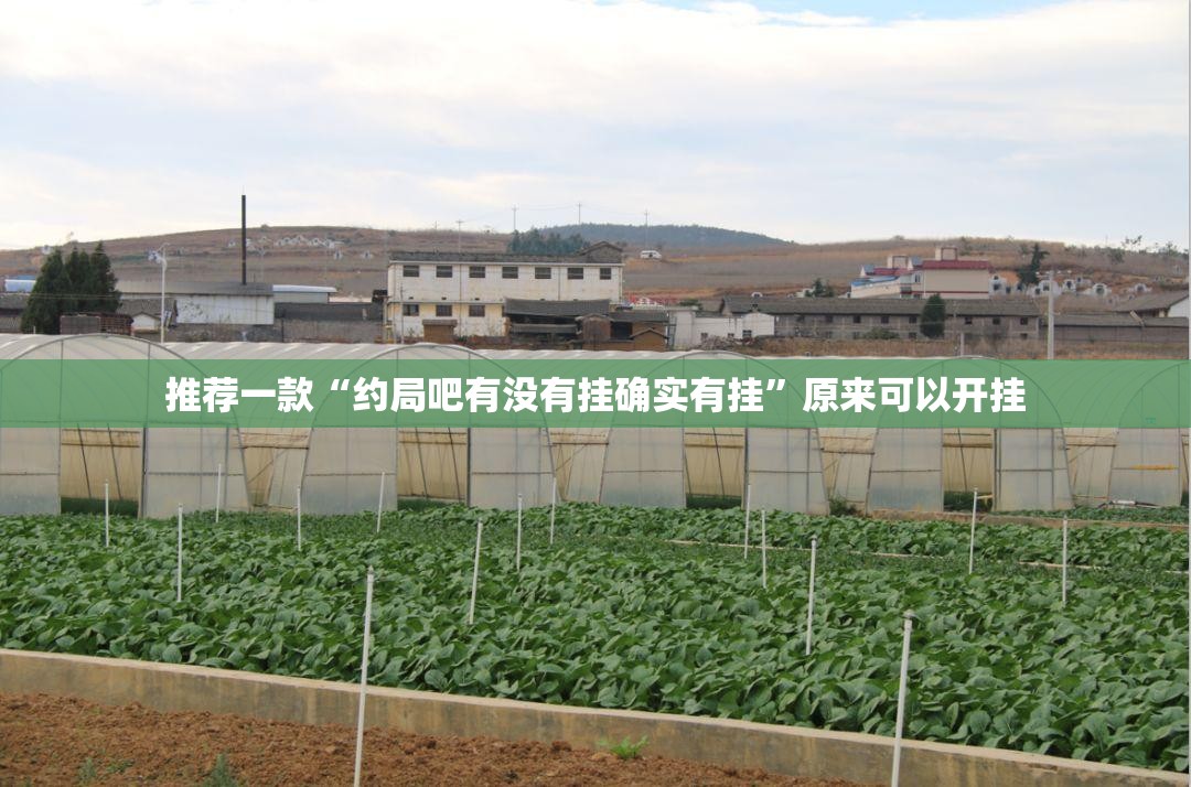 推荐一款三三麻将必赢神器(原来确实是有挂) 推荐一款三三麻将必赢神器(原来确实是有挂)