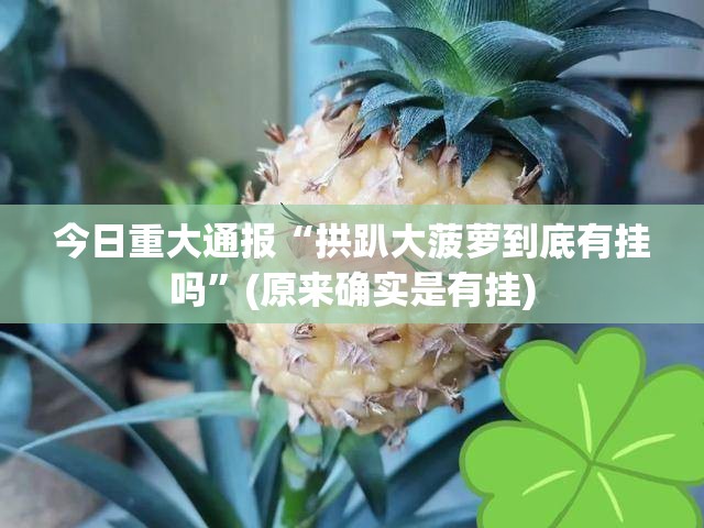 今日重大通报快乐打筒子开挂辅助!详细开挂教程确实真的有挂 今日重大通报快乐打筒子开挂辅助!详细开挂教程确实真的有挂
