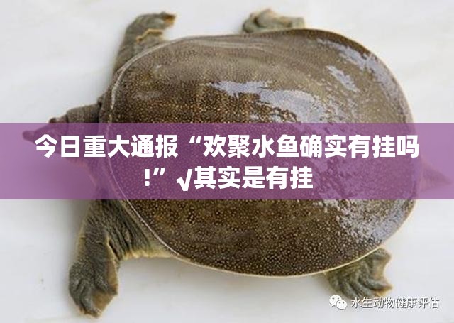 重大通报“榕城510K开挂方法详细开挂教程”√必胜开挂神器 重大通报“榕城510K开挂方法详细开挂教程”√必胜开挂神器