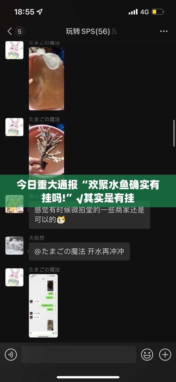 重大通报新全游怎样开挂!(确实有挂)