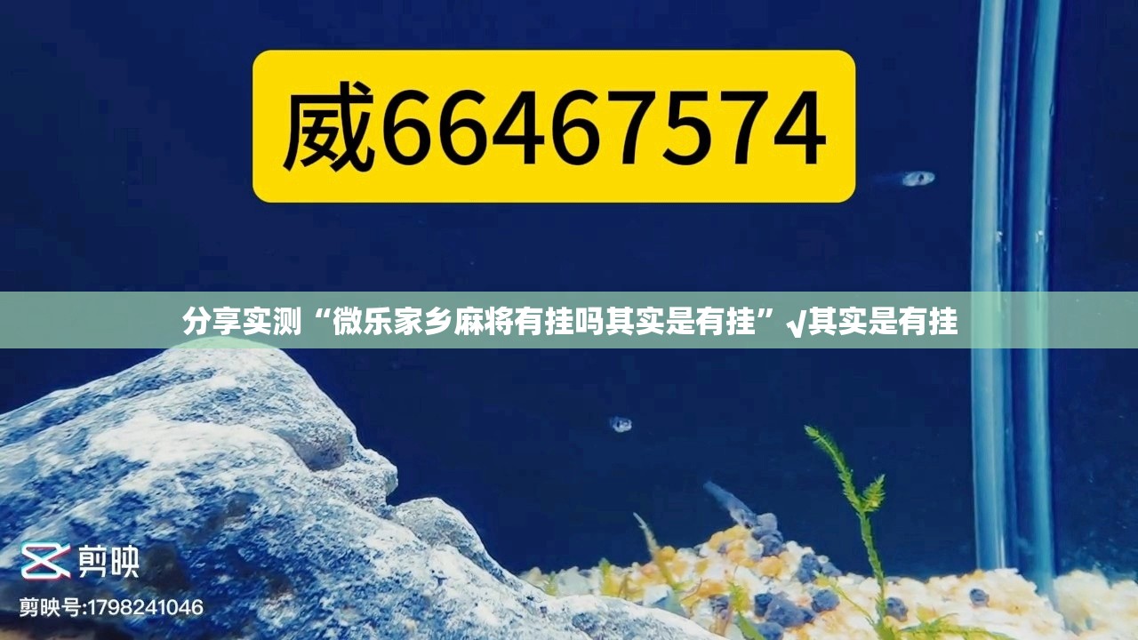 重大通报悟空竞技麻将辅助透视软件(真的有挂)-知乎 重大通报悟空竞技麻将辅助透视软件(真的有挂)-知乎