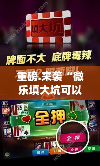 重磅.来袭九九联盟开挂神器下载!2025（果然有挂）