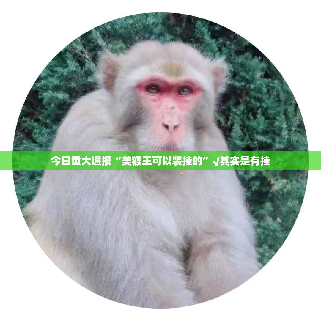 重大通报闲来互娱怎么买挂果然有挂