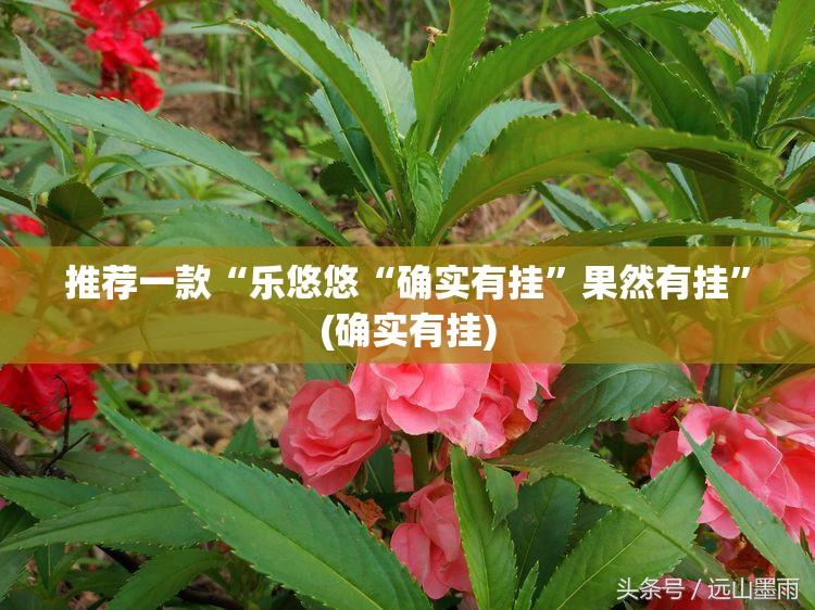 推荐一款“乐悠悠“确实有挂”果然有挂”(确实有挂)