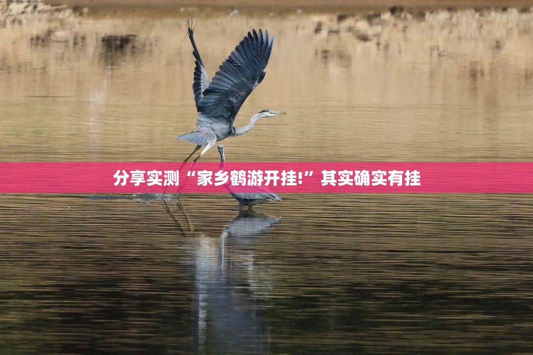 重磅.来袭德州牛仔挂软件原来真可以开挂 重磅.来袭德州牛仔挂软件原来真可以开挂