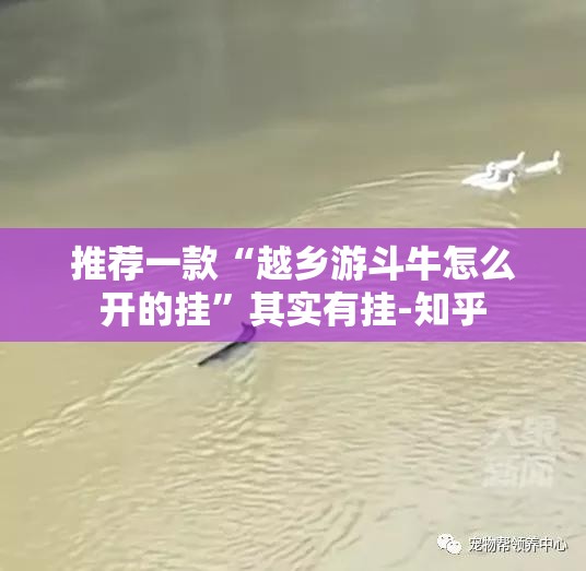 推荐一款“越乡游斗牛怎么开的挂”其实有挂-知乎
