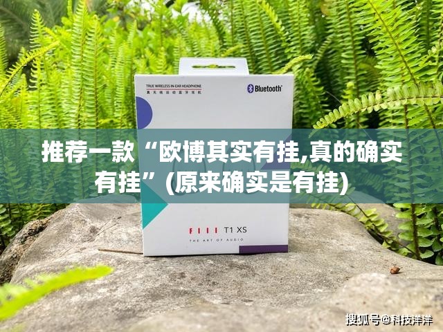 分享实测叮叮娱乐其实有挂确实有挂确实真的有挂