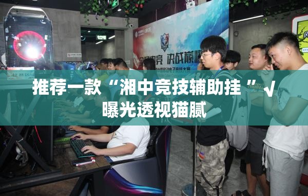 推荐一款“湘中竞技辅助挂 ”√曝光透视猫腻