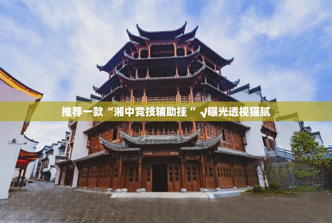 推荐一款“湘中竞技辅助挂 ”√曝光透视猫腻