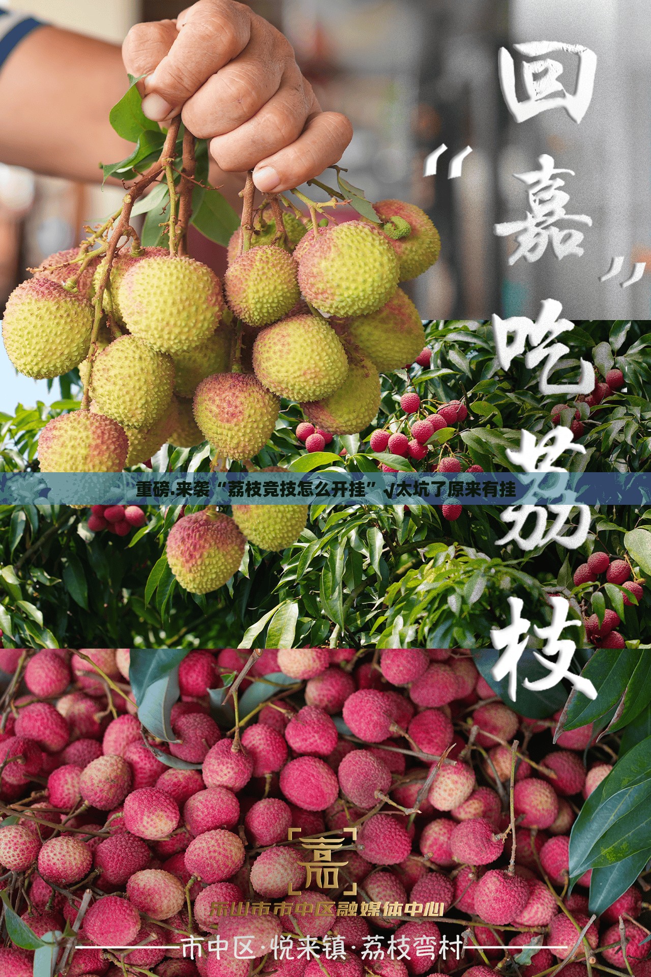 今日重大通报聚星到底有没有挂装!其实是有挂√曝光透视猫腻