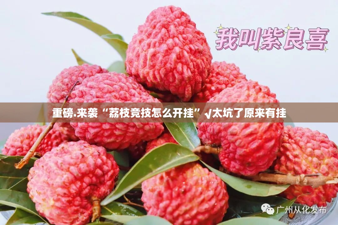重磅.来袭“荔枝竞技怎么开挂”√太坑了原来有挂