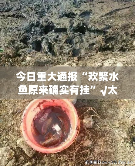 今日重大通报“欢聚水鱼原来确实有挂”√太坑了原来有挂