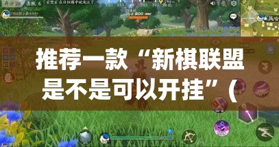 推荐一款“新棋联盟是不是可以开挂”(确实有挂)