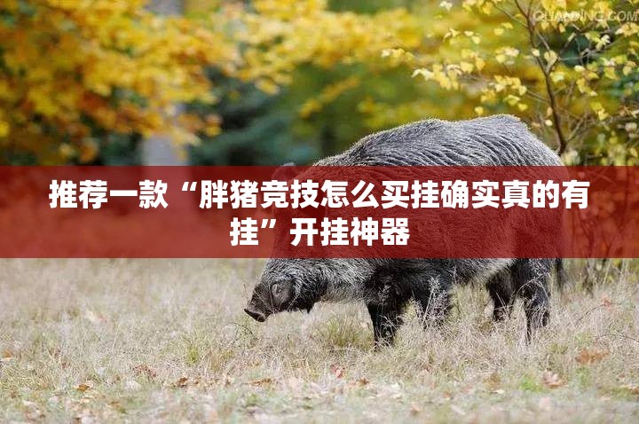 分享实测心悦填大坑有挂是真的√确实真的有挂 分享实测心悦填大坑有挂是真的√确实真的有挂