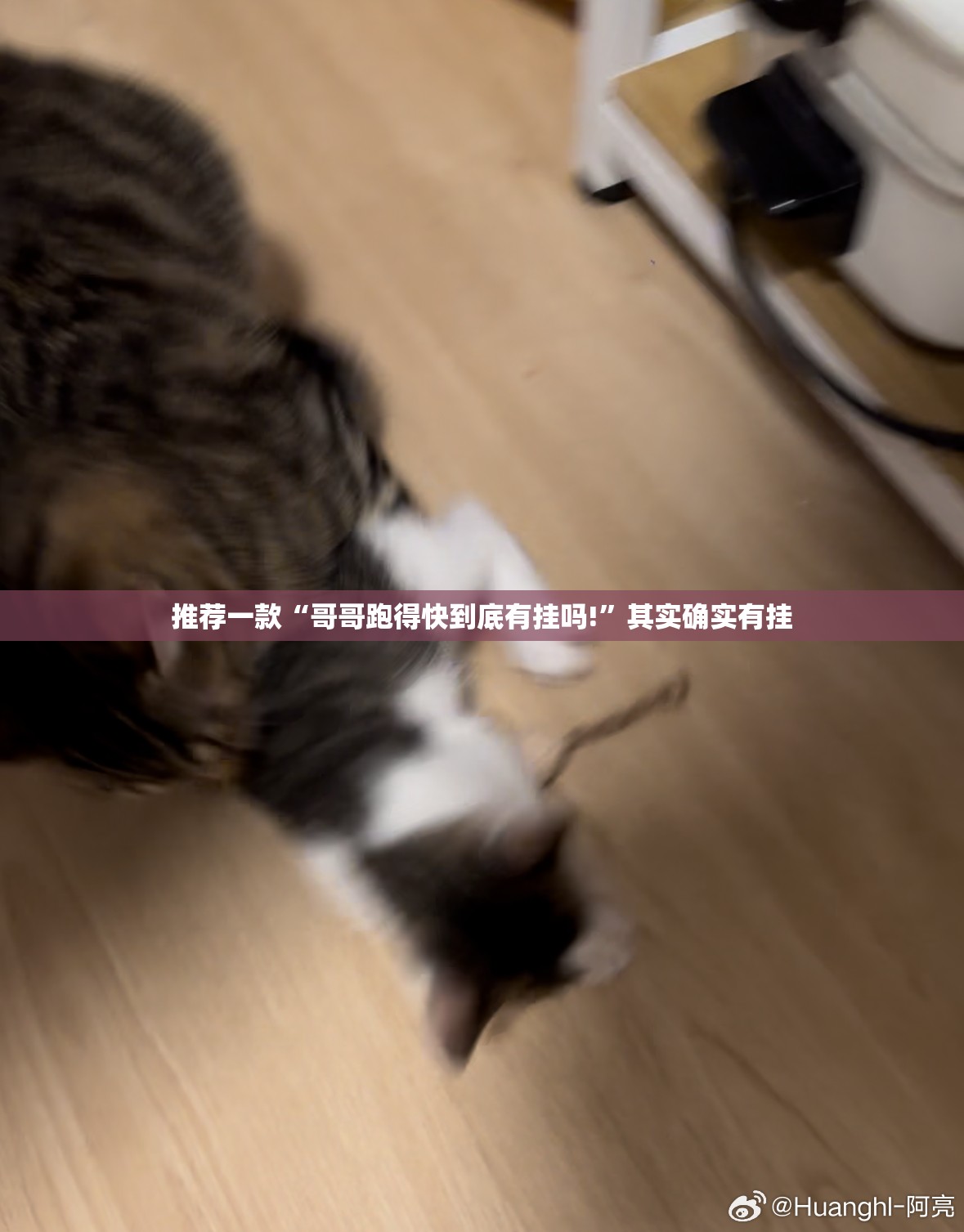 今日重大通报“德州牛仔开挂!”@太坑了真的有挂 今日重大通报“德州牛仔开挂!”@太坑了真的有挂