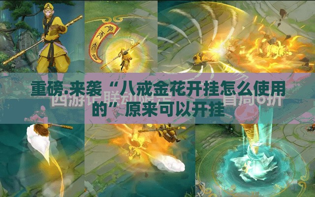 重磅.来袭“八戒金花开挂怎么使用的”原来可以开挂