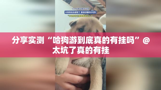 重磅.来袭边锋掼蛋到底有没有挂吗(其实真的能开挂) 重磅.来袭边锋掼蛋到底有没有挂吗(其实真的能开挂)