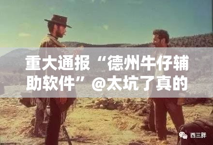 重大通报“德州牛仔辅助软件”@太坑了真的有挂