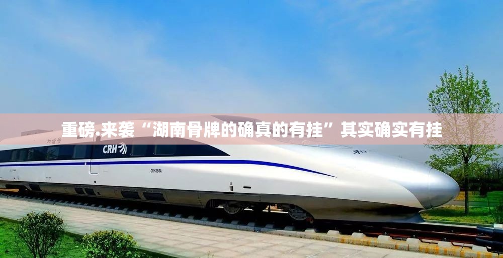 重磅.来袭“湖南骨牌的确真的有挂”其实确实有挂