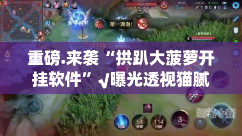 重磅.来袭“拱趴大菠萝开挂软件”√曝光透视猫腻