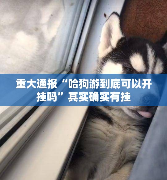 今日重大通报富友茶苑如何开挂原来可以开挂