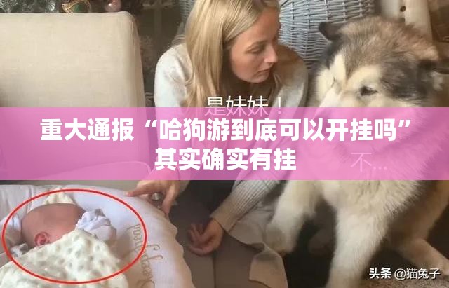 推荐一款友愉棋牌开挂!√必胜开挂神器