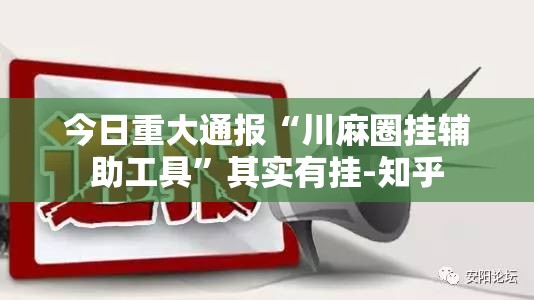 今日重大通报“川麻圈挂辅助工具”其实有挂-知乎