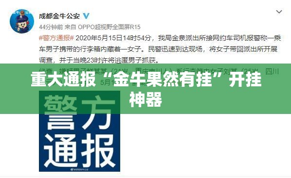 今日重大通报汇友透视辅助挂2025（果然有挂）
