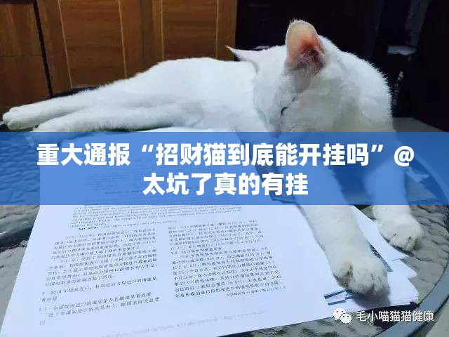 重大通报“招财猫到底能开挂吗”@太坑了真的有挂
