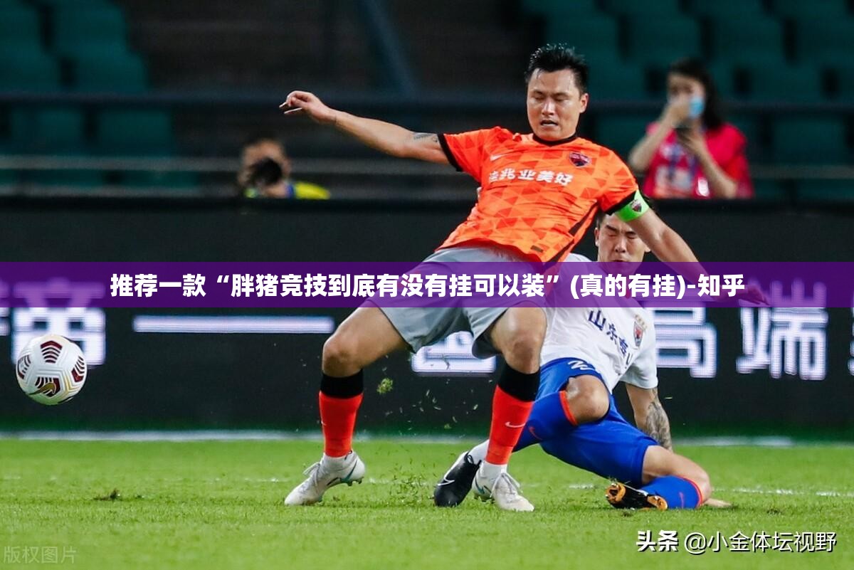 推荐一款“胖猪竞技到底有没有挂可以装”(真的有挂)-知乎