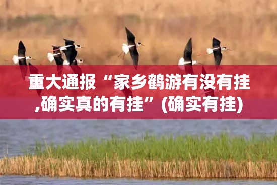 推荐一款“闲来互娱挂怎么买!”√曝光透视猫腻 推荐一款“闲来互娱挂怎么买!”√曝光透视猫腻