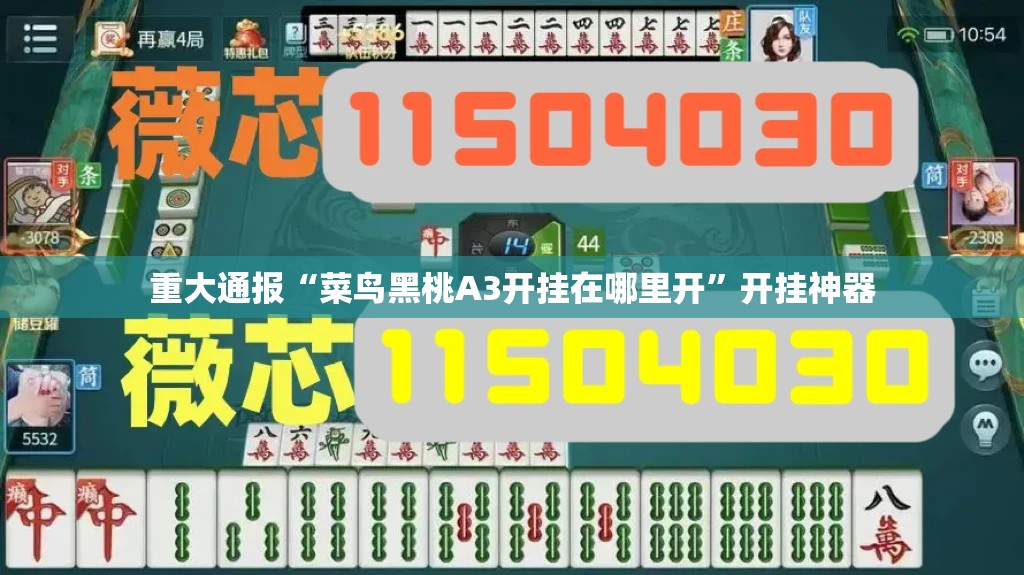 重磅.来袭“菜鸟黑桃A3透视辅助挂”(确实有挂)