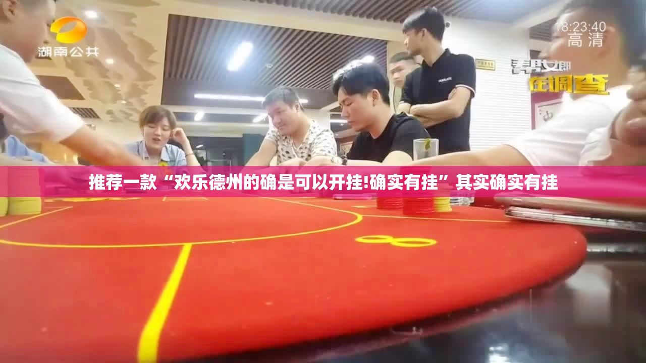 推荐一款“欢乐德州的确是可以开挂!确实有挂”其实确实有挂