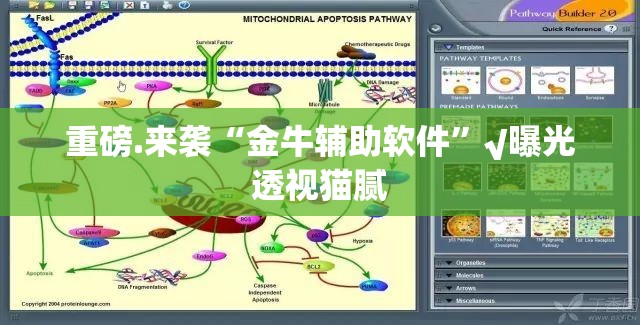 重磅.来袭“金牛辅助软件”√曝光透视猫腻