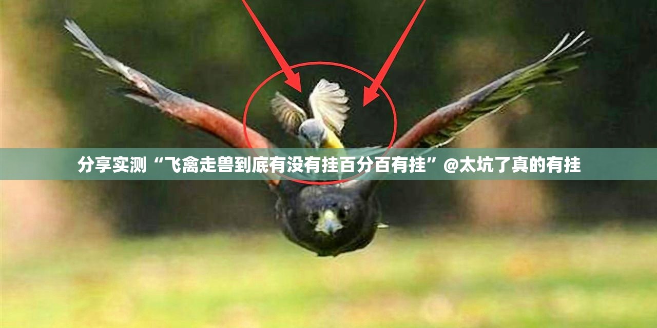 今日重大通报七彩云南游戏有没有挂!其实确实有挂