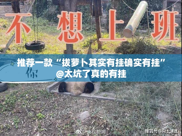 推荐一款“拔萝卜其实有挂确实有挂”@太坑了真的有挂