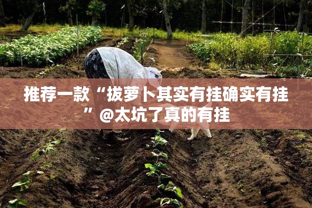 推荐一款“拔萝卜其实有挂确实有挂”@太坑了真的有挂